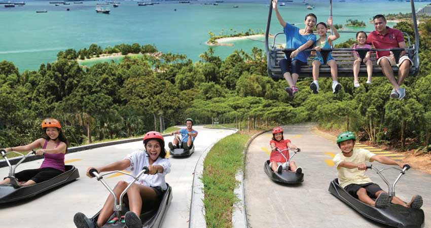Luge And Sky Ride