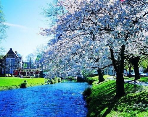 EXOTIC AUSTRALIA &NEW ZEALAND