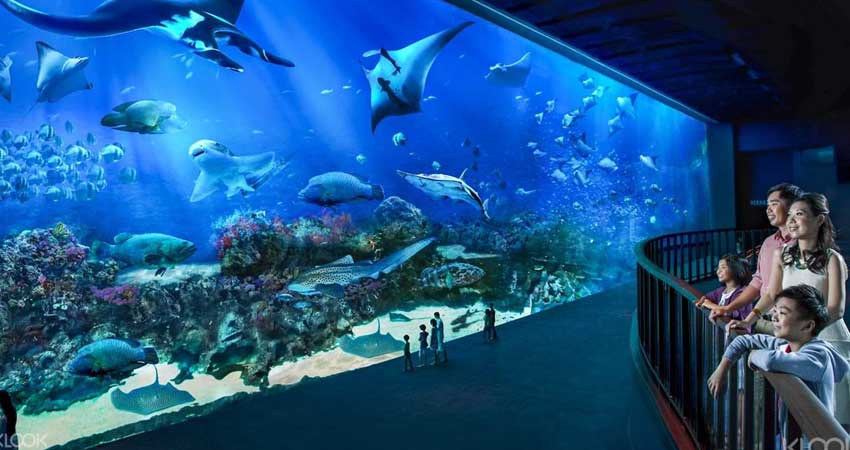 Visit the breathtaking underwater world