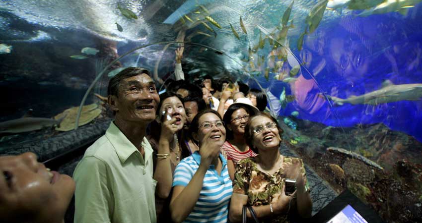 Visit the breathtaking underwater world