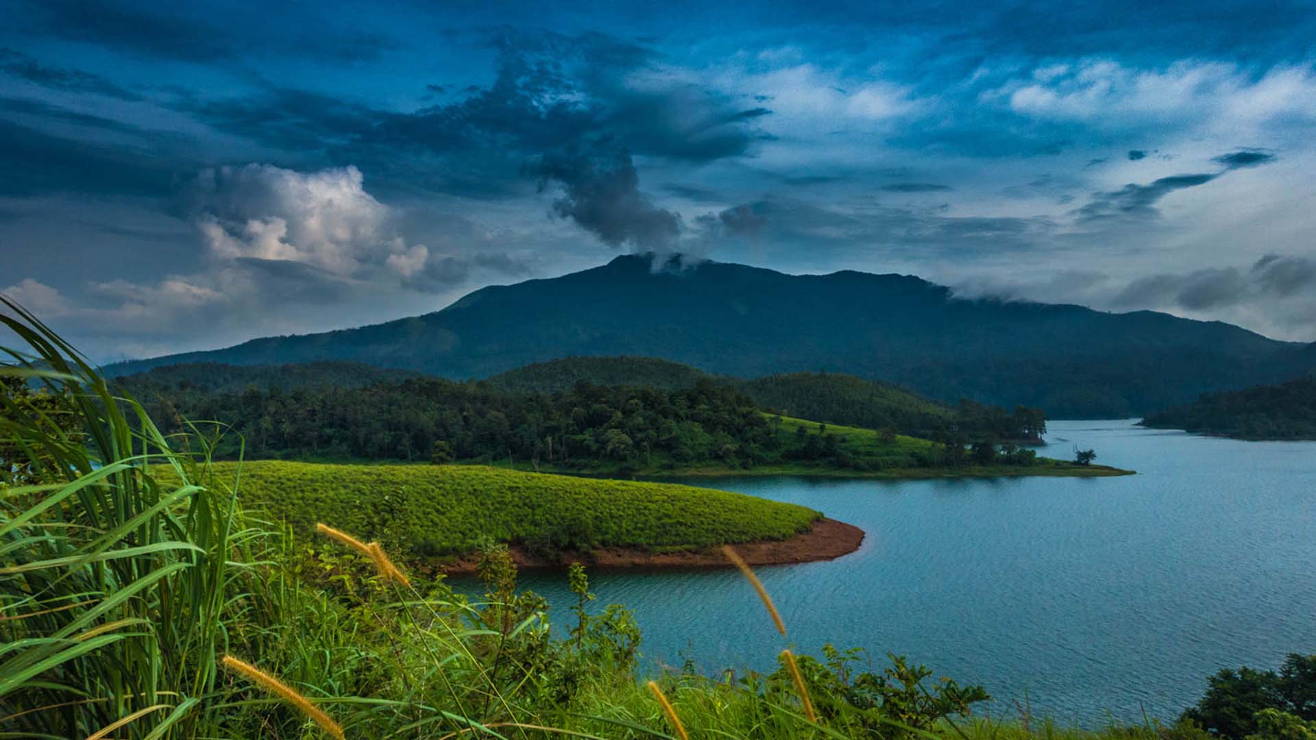 Whimsical-Wayanad