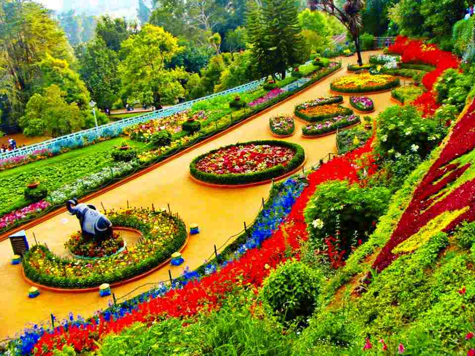 mysore ooty