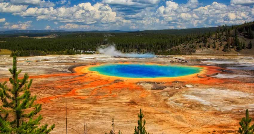 Visit to Yellow Stone national park