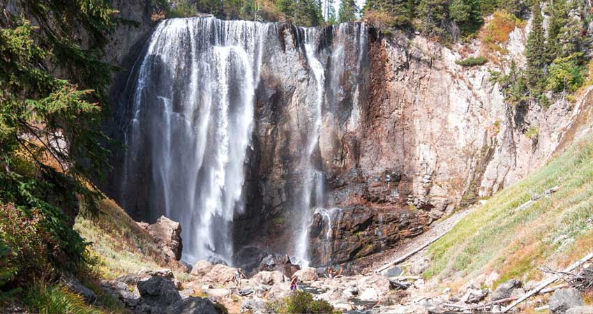 Visit to Yellow Stone national park
