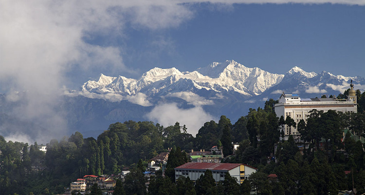 Pelling