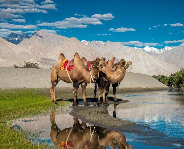 BEST OF LADAKH